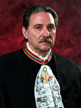 Luiz Stefanini